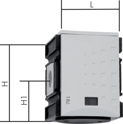 Exemplary representation: Check valve (Futura)